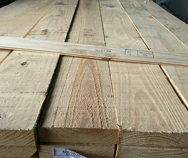 翁牛特阿根廷松木